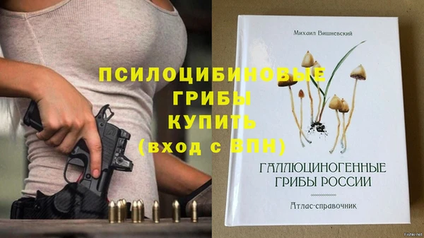 метадон Медногорск