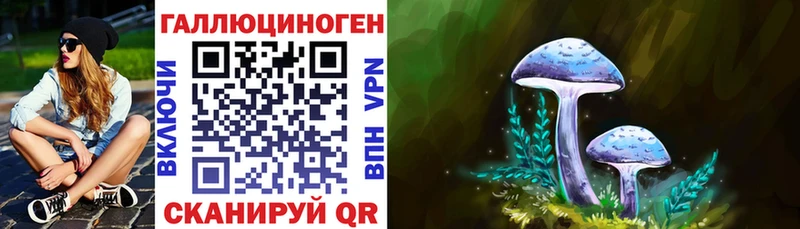 Галлюциногенные грибы Psilocybine cubensis  Купить  Ипатово 
